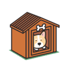 Welsh Corgi（個別スタンプ：5）