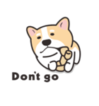 Welsh Corgi（個別スタンプ：24）