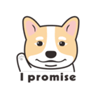 Welsh Corgi（個別スタンプ：34）