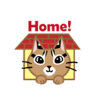 台灣の山猫を抱いてね！（個別スタンプ：19）