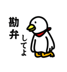 白井さん。（個別スタンプ：11）