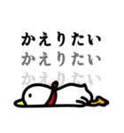 白井さん。（個別スタンプ：12）