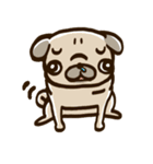 鼻ぺちゃワンのスタンプ（個別スタンプ：1）