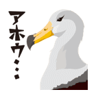 野性動物（個別スタンプ：25）