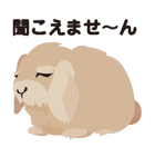 野性動物（個別スタンプ：40）