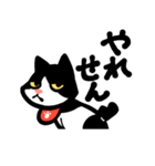 ハチワレハッチィ（個別スタンプ：2）