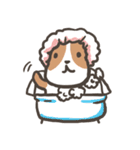 Boson X DOGS（個別スタンプ：6）