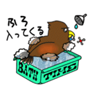 ゆるい猛禽スタンプ（個別スタンプ：20）