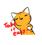 Everyday Tabby（個別スタンプ：17）
