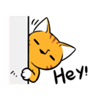Everyday Tabby（個別スタンプ：27）