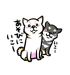 柴犬スタンプ3～白柴～（個別スタンプ：37）