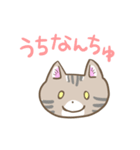 沖縄弁なイリオモテヤマネコさん（個別スタンプ：1）