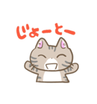 沖縄弁なイリオモテヤマネコさん（個別スタンプ：16）