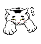 ぶさねこの生返事（個別スタンプ：26）