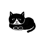 ねこまる＆くろ（個別スタンプ：12）