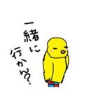 筑ぴよ（個別スタンプ：34）