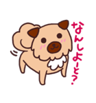博多弁のミックス犬「マイケル」（個別スタンプ：1）