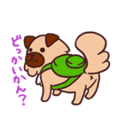 博多弁のミックス犬「マイケル」（個別スタンプ：31）