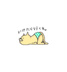 おぱんつねこ（個別スタンプ：3）