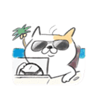 ちぴねこ（個別スタンプ：34）