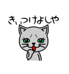 パトラとトラ男【京都弁】（個別スタンプ：17）