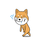 The Dogs - Shiba Inu 'Rui'（個別スタンプ：28）