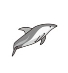 イルカくんとクジラくん（個別スタンプ：17）