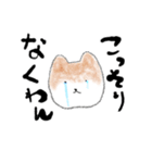 わんこ社長（個別スタンプ：20）
