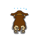 犬種別スタンプ③ ミニチュアダックス（個別スタンプ：38）