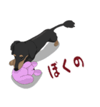 Cute Dachshund！！（個別スタンプ：34）
