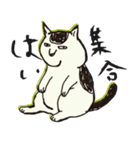 うちの猫 ぷうちゃん（個別スタンプ：24）