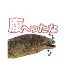 リアル水族館～日常会話～（個別スタンプ：33）
