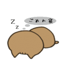 猫と、ときどきハムスター。（個別スタンプ：30）
