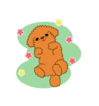 わんこ（個別スタンプ：12）
