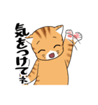 ねこ×ねこ（個別スタンプ：6）