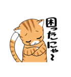 ねこ×ねこ（個別スタンプ：9）