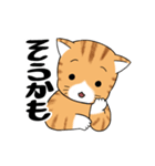 ねこ×ねこ（個別スタンプ：13）