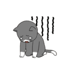 ねこ×ねこ（個別スタンプ：38）