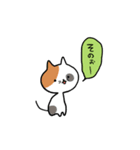 こそあどねこ（個別スタンプ：2）