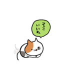 こそあどねこ（個別スタンプ：6）