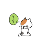 こそあどねこ（個別スタンプ：10）