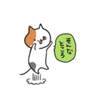 こそあどねこ（個別スタンプ：14）