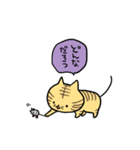 こそあどねこ（個別スタンプ：16）