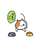 こそあどねこ（個別スタンプ：18）