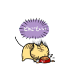 こそあどねこ（個別スタンプ：20）