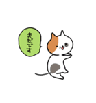 こそあどねこ（個別スタンプ：22）