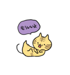 こそあどねこ（個別スタンプ：24）