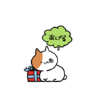 こそあどねこ（個別スタンプ：26）