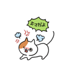 こそあどねこ（個別スタンプ：30）