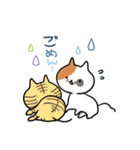 こそあどねこ（個別スタンプ：34）